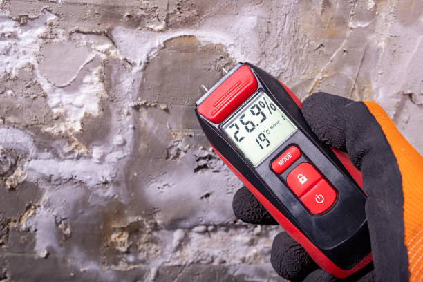 Best Fast Mold Removal  in Ttapoisett Center, MA