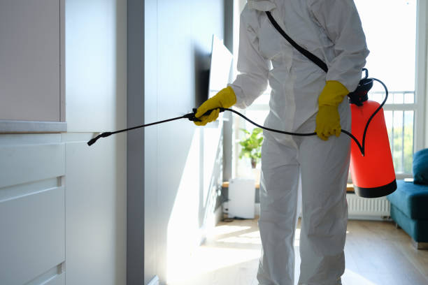 Best Office Mold Removal Services  in Ttapoisett Center, MA