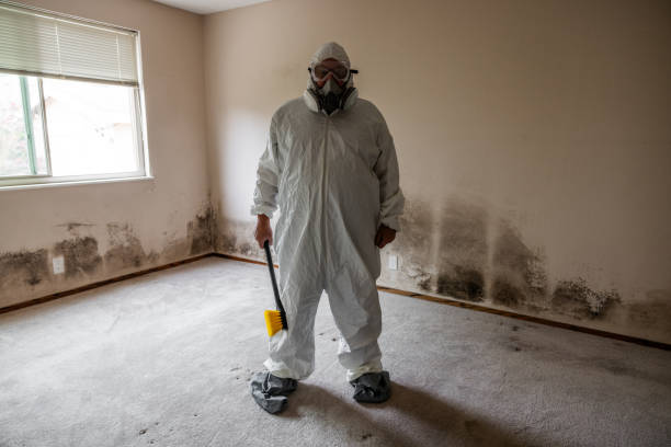 Best Toxic Mold Removal  in Ttapoisett Center, MA