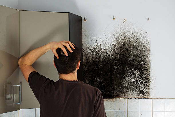 Best Mold Testing  in Ttapoisett Center, MA